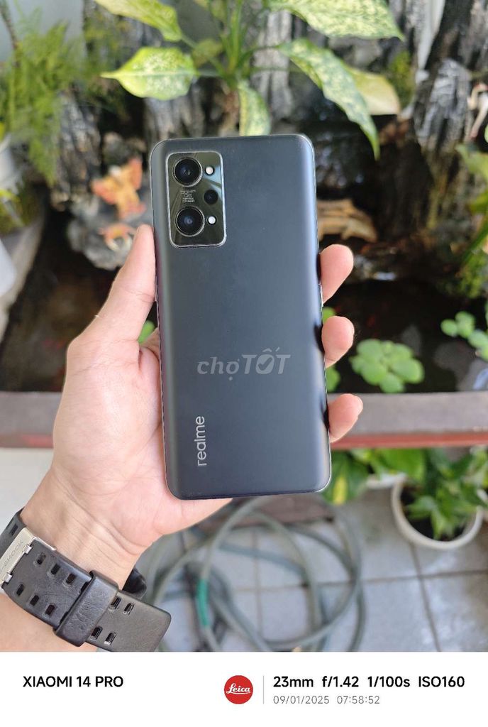 Realme gt 2 max option 12/256