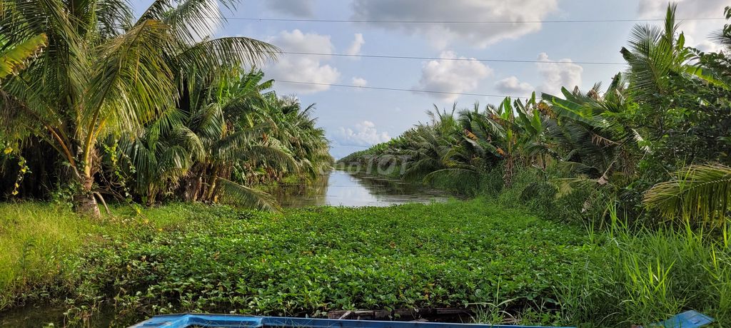 Cần bán gắp đất