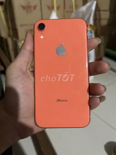 iPhone XR 64GB Cam Đã sử dụng. Mua bán Điện thoại tại Quận 5 Tp Hồ Chí Minh được đăng bởi Hội Đồ Điện Tử hình 1