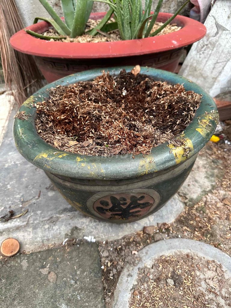 chậu tàu