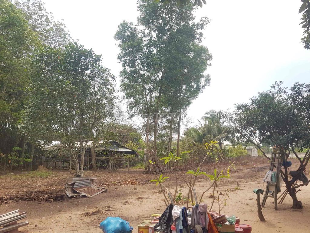 CHÍNH CHỦ BÁN ĐẤT GẦN BỆNH VIỆN NHƠN TRẠCH. Mua bán đất tại Huyện Nhơn Trạch Đồng Nai được đăng bởi Phát Đất Xanh Group hình 3