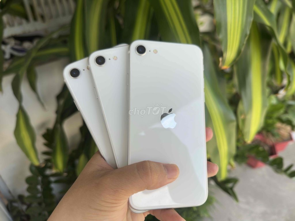 Apple iPhone SE 2020 64GB Trắng Zin. Mua bán Điện thoại tại Quận Ninh Kiều Cần Thơ được đăng bởi ĐIỆN THOẠI GIÁ TỐT UY TÍN  hình 1