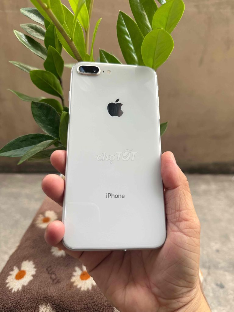 Apple iPhone 8 Plus 64GB Trắng. Mua bán Điện thoại tại Huyện Hóc Môn Tp Hồ Chí Minh được đăng bởi Sonle hình 1