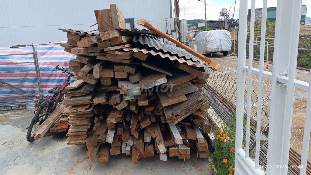Gỗ thông già  tự nhiên. Mua bán Nội thất, đồ gia dụng khác tại Thành phố Đà Lạt Lâm Đồng được đăng bởi HUY TRẦN ĐÌNH hình 1