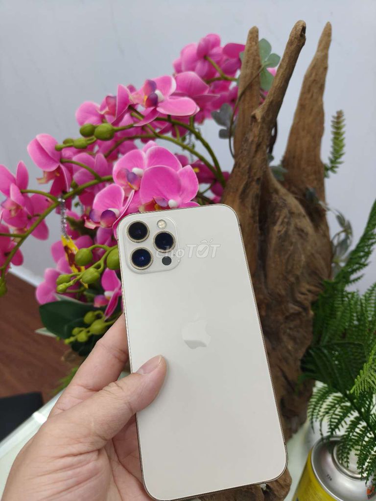 Apple iPhone 12 Pro Max Vàng. Mua bán Điện thoại tại Thành phố Buôn Ma Thuột Đắk Lắk được đăng bởi Tèo Điện Thoại  hình 1