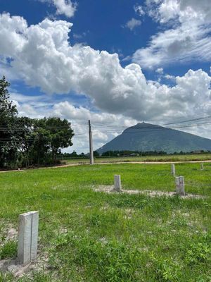 ĐẤT FULL THỔ CƯ TẠI XÃ DƯONG MINH CHÂU CỌC NHẬN NGAY 5 PHÂN VÀNG. Mua bán đất tại Huyện Dương Minh Châu Tây Ninh được đăng bởi Mỹ Duyên
