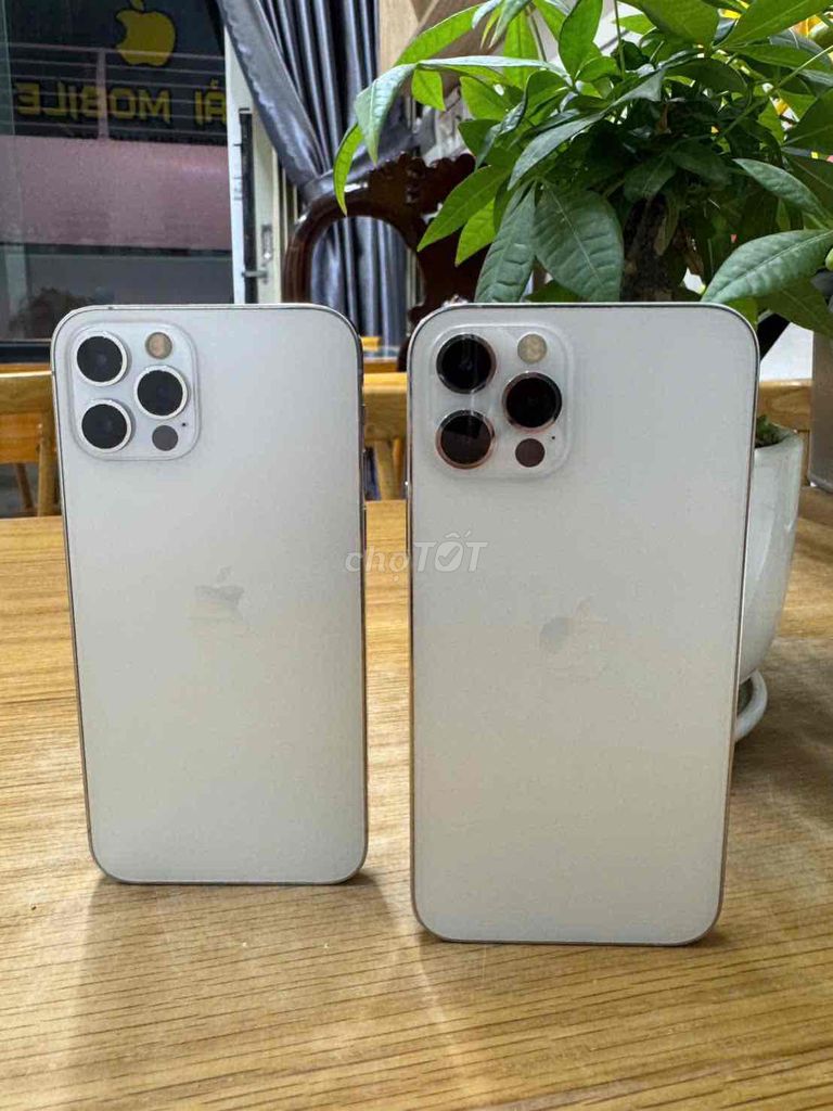 iPhone 12 Pro 256GB Trắng 99%. Mua bán Điện thoại tại Quận Ninh Kiều Cần Thơ được đăng bởi Khải mobile hình 1
