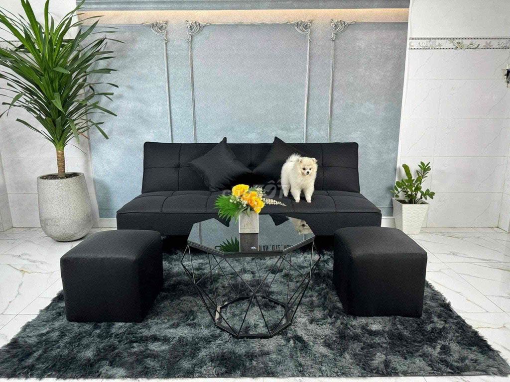 Sofa giường đầy tiện nghi