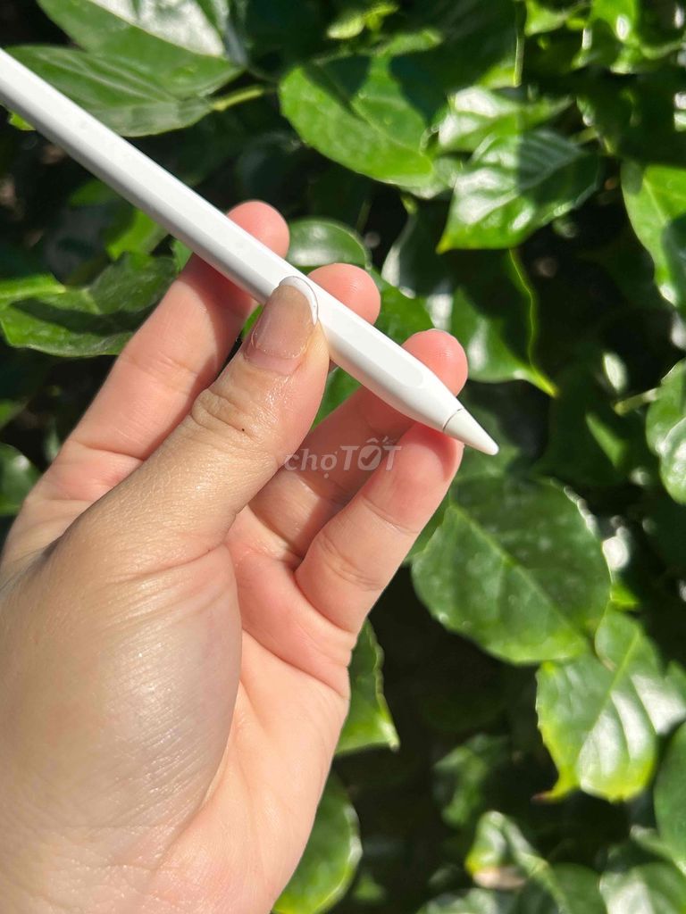 Bút cảm ứng Apple Pencil 2 Trắng Likenew 99%. Mua bán Phụ kiện (Màn hình, Chuột...) tại Quận Tân Phú Tp Hồ Chí Minh được đăng bởi Công nghệ di động Apple Watch Samsung Tai nghe hình 1