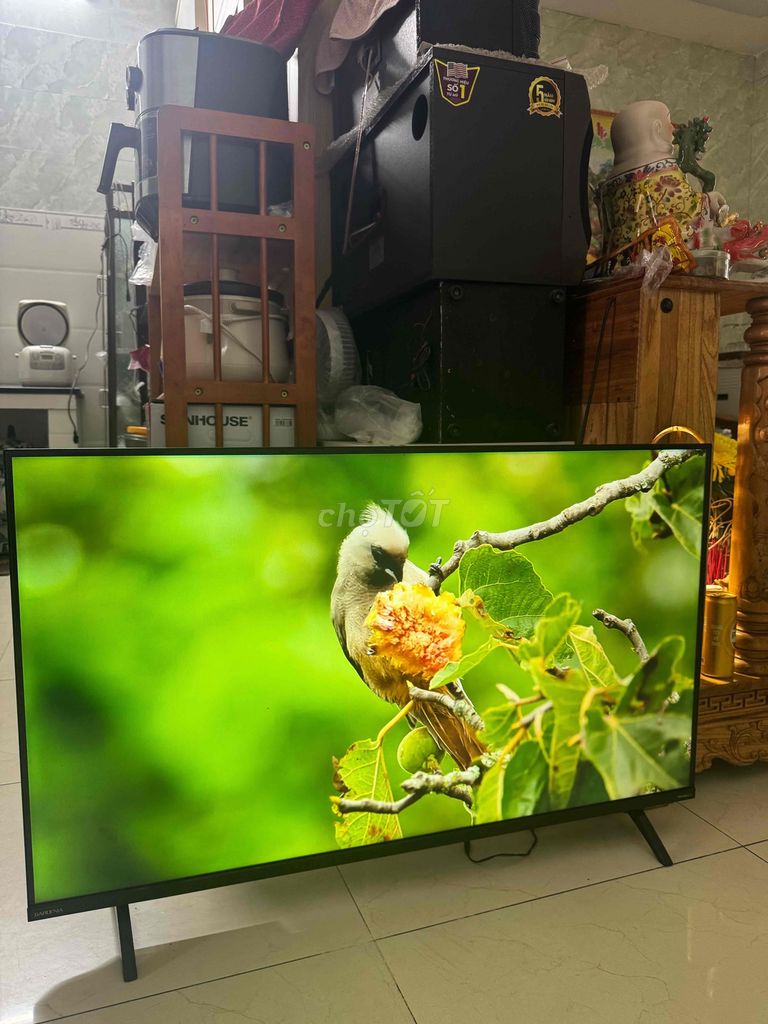 Tivi Casper 43 inch Internet. Mua bán Tivi, Âm thanh tại Thành phố Vũng Tàu Bà Rịa - Vũng Tàu được đăng bởi Đồ Điện Tử Gia Đình Vũng Tàu hình 1