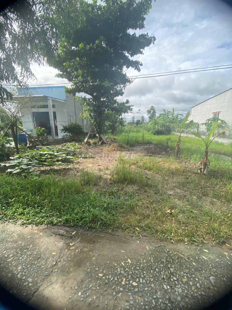 BÁN ĐẤT CHUYỂN TRỒNG LÚA – XÃ TRUNG THÀNH, VŨNG LIÊM, VĨNH LONG 589M2