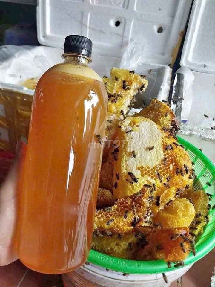 Mật ong rừng Đắk Lắk nguyên chất. Mua bán Đồ ăn, thực phẩm và các loại khác tại Quận Liên Chiểu Đà Nẵng được đăng bởi Cáo Anh hình 1