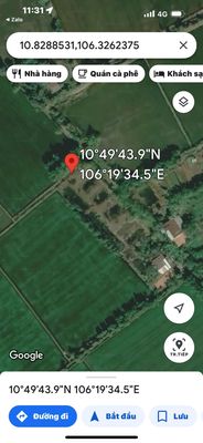 Bán đất 923m2 full thổ cư Ấp Chánh, xã Bình Hòa Bắc, Đức Huệ Long an. Mua bán đất tại Huyện Đức Huệ Long An được đăng bởi Le Minh Chau