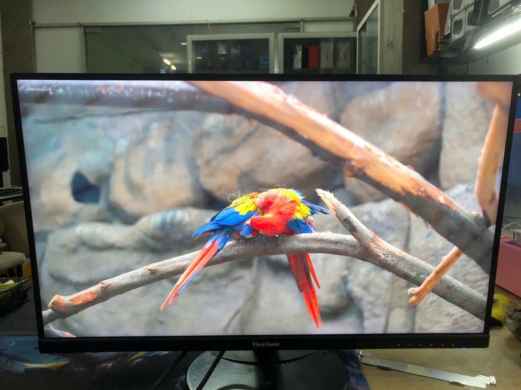 Màn hình ViewSonic 27" IPS 2K 144Hz chuyên game