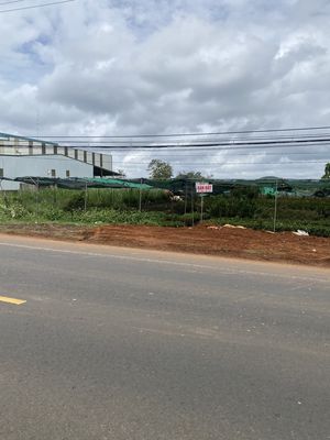 Đất rẫy cfe sầu riêng. Mua bán đất tại Huyện Ea Kar Đắk Lắk được đăng bởi Đức