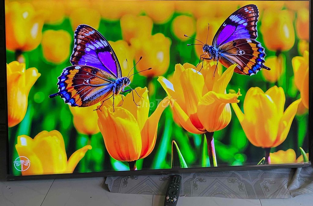 Smart TV 55in Capper 4K giọng nói WiFi Internet.. Mua bán Tivi, Âm thanh tại Thành phố Thủ Đức Tp Hồ Chí Minh được đăng bởi Anh thợ hồ hình 1