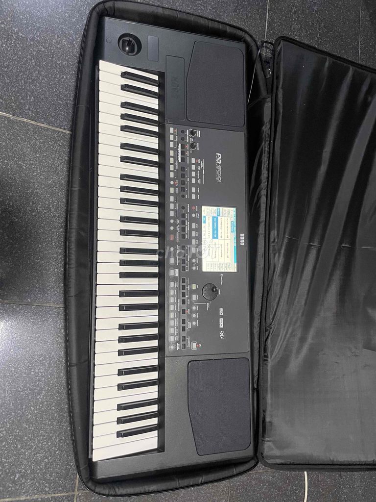 Đàn Organ Korg Pa600