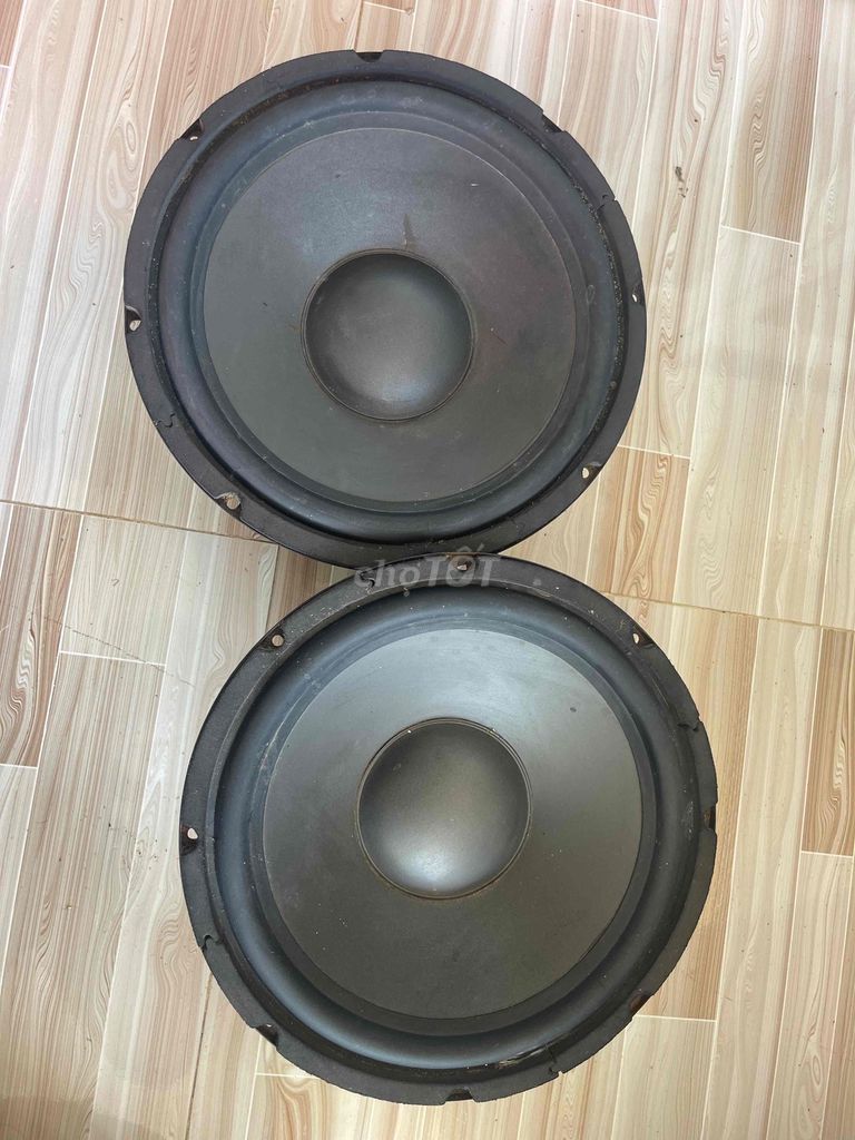 Loa Torimy 25cm đã sử dụng. Mua bán Tivi, Âm thanh tại Huyện Kế Sách Sóc Trăng được đăng bởi Trần Trí hình 1