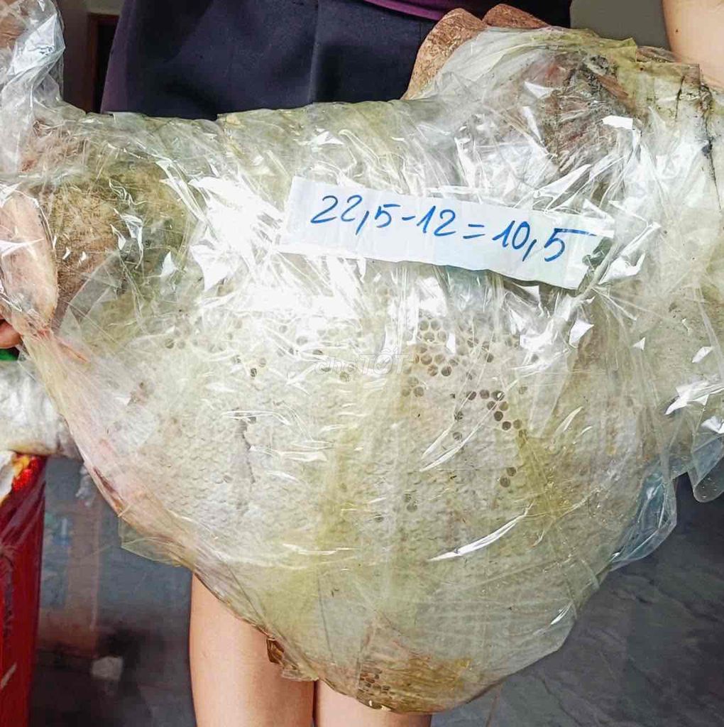 Mật ong nguyên tổ Tây Bắc 450k/kg. Mua bán Đồ ăn, thực phẩm và các loại khác tại Quận Hoàng Mai Hà Nội được đăng bởi Sen Vàng hình 1