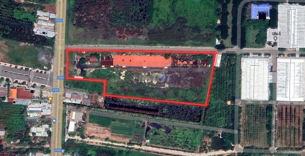 bán lô đất 26.500m2 đường 824 .huyên đức hòa .