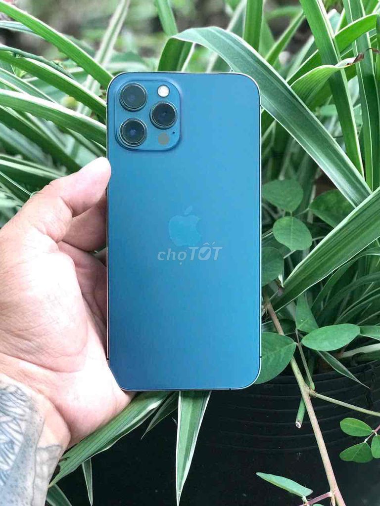 - Iphone 12 Promax 512gb Blue màu hot Giống 15 pro. Mua bán Điện thoại tại Thành phố Thủ Đức Tp Hồ Chí Minh được đăng bởi Hiệp Tôn hình 1