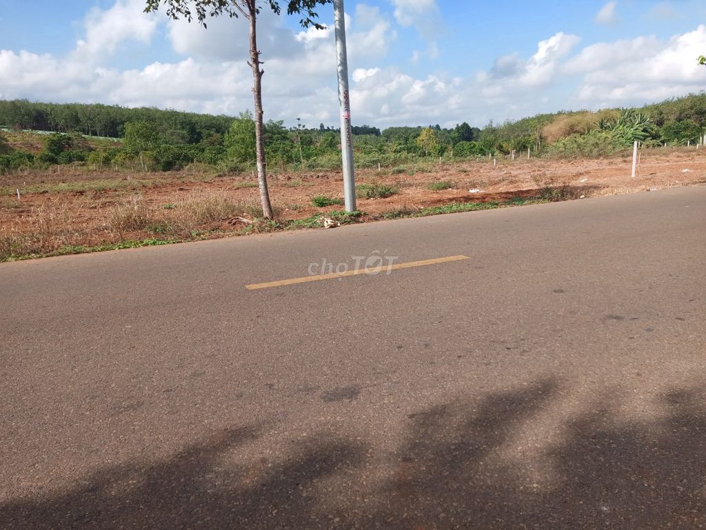 Hơn 1000m2 đất vườn huyện Đồng Phú, mặt tiền đường liên xã 19m giá 2xx