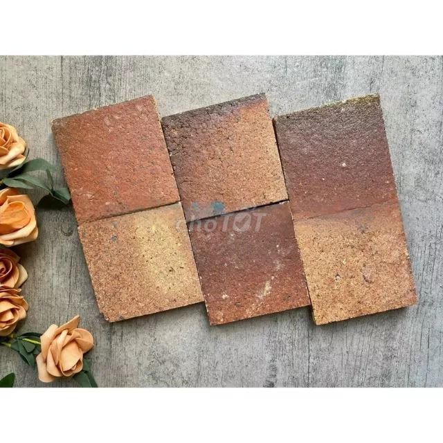 Gạch gốm nung cổ Tây Ninh 100x100x13mm