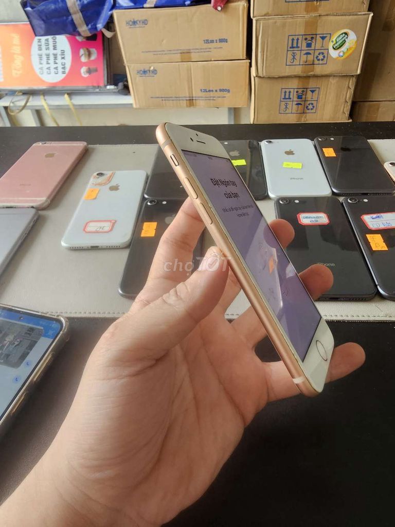 Apple iPhone 8 8GB Vàng. Mua bán Điện thoại tại Quận Ninh Kiều Cần Thơ được đăng bởi dienthoaidao hình 1