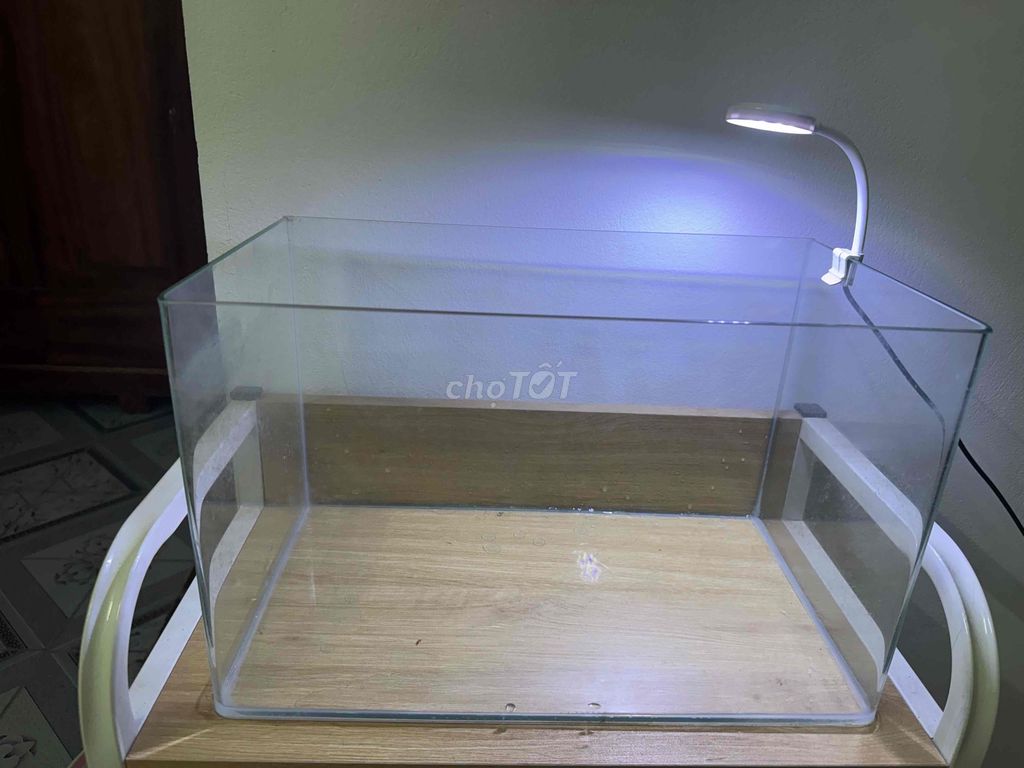 Bể bo góc + đèn led 3 màu màu Tím, Hồng, Trắng. Mua bán Phụ kiện, Thức ăn, Dịch vụ tại Quận Thanh Xuân Hà Nội được đăng bởi Ngọc hình 1