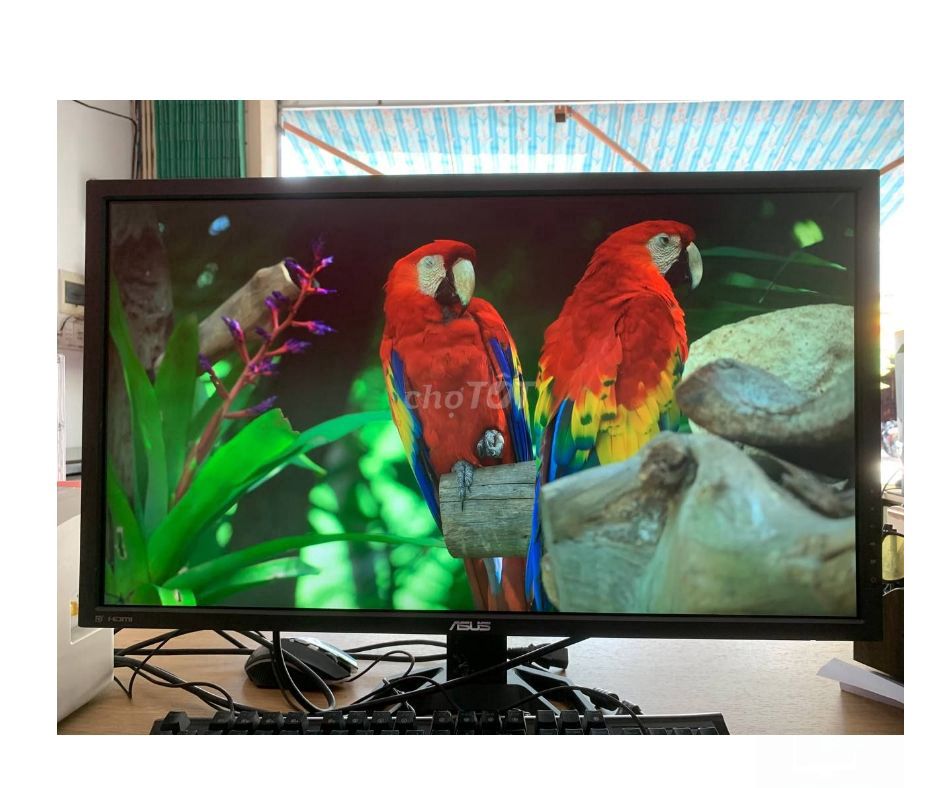 MÀN ASUS 4K MÀU CHUẨN