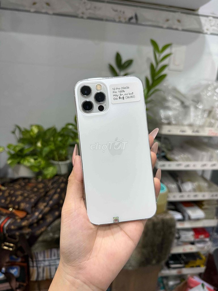 iPhone 12 Pro 256Gb Trắng màn thay zin. Mua bán Điện thoại tại Huyện Hóc Môn Tp Hồ Chí Minh được đăng bởi Luân Hoài hình 1