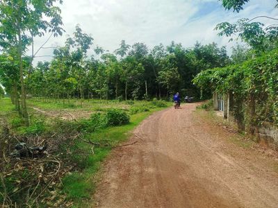 Bán 3,4 mẫu đất có cao su, Hòa Hiệp Tân Biên cách nhựa 100m. Mua bán đất tại Huyện Tân Biên Tây Ninh được đăng bởi trung