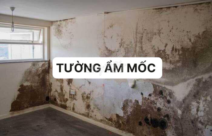 cải tạo tường cũ, ẩm mốc với tấm ốp tường nano