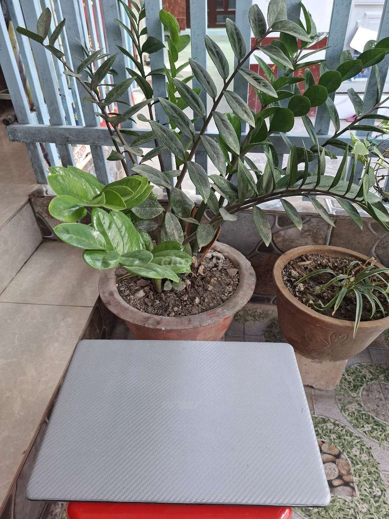 Laptop Asus S510U i7 Gen 8 8GB/128GB. Mua bán Laptop tại Quận Ninh Kiều Cần Thơ được đăng bởi Hoàng Nam hình 1