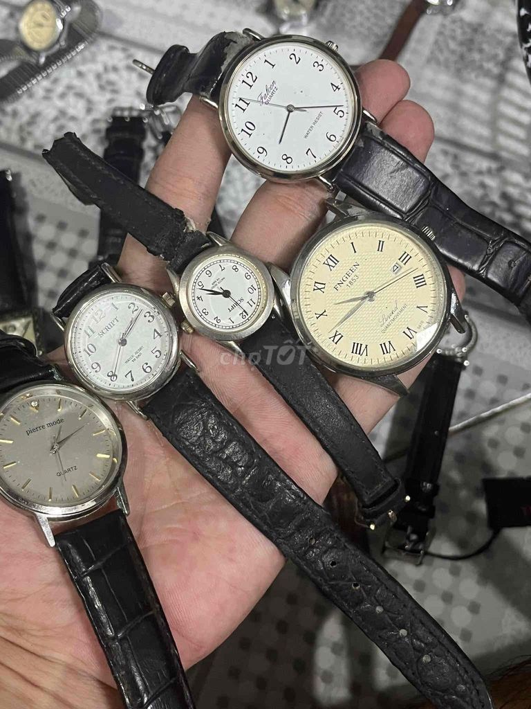 5 con 300 em bao chạy ạ. Mua bán Đồng hồ tại Huyện Gò Dầu Tây Ninh được đăng bởi Nguyễn Trung  hình 1