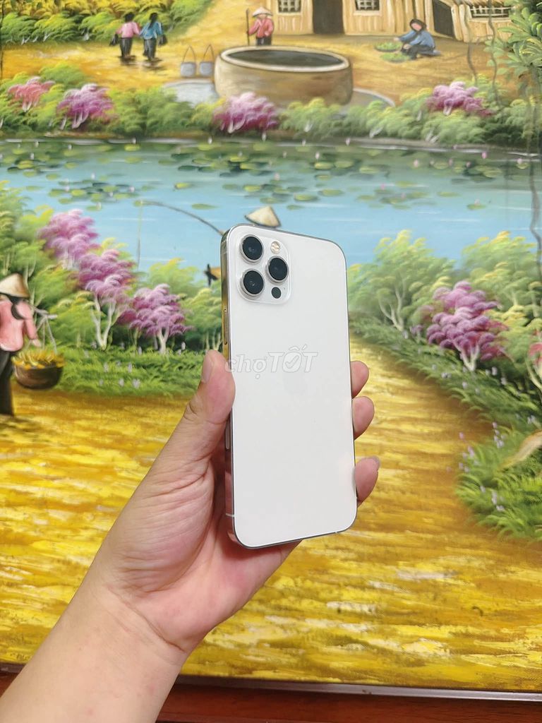 Apple iPhone 12 Pro Max 128GB Trắng. Mua bán Điện thoại tại Quận Tân Phú Tp Hồ Chí Minh được đăng bởi Hội Đồ Điện Tử hình 1