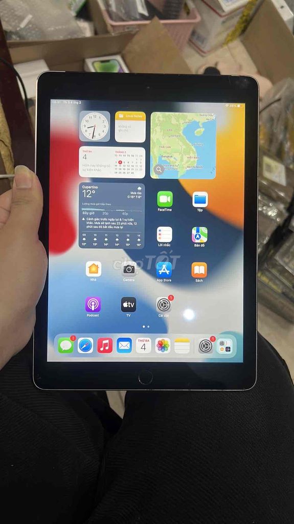 iPad Air 2