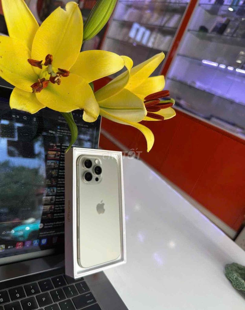 16 Pro 512 Natura vn/a có sim pin 89 zin áp suất. Mua bán Điện thoại tại Quận 3 Tp Hồ Chí Minh được đăng bởi Nam Á Mobile hình 1