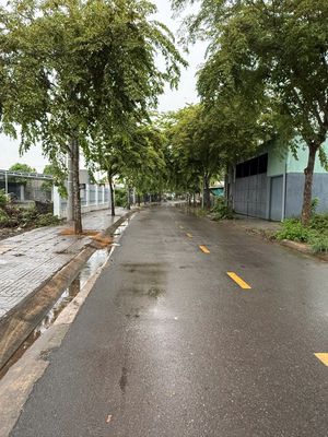 🏡 BÁN ĐẤT MẶT TIỀN ĐƯỜNG NHỰA NHÁNH ĐƯỜNG SỐ 9 – P. TAM LONG (BRVT)