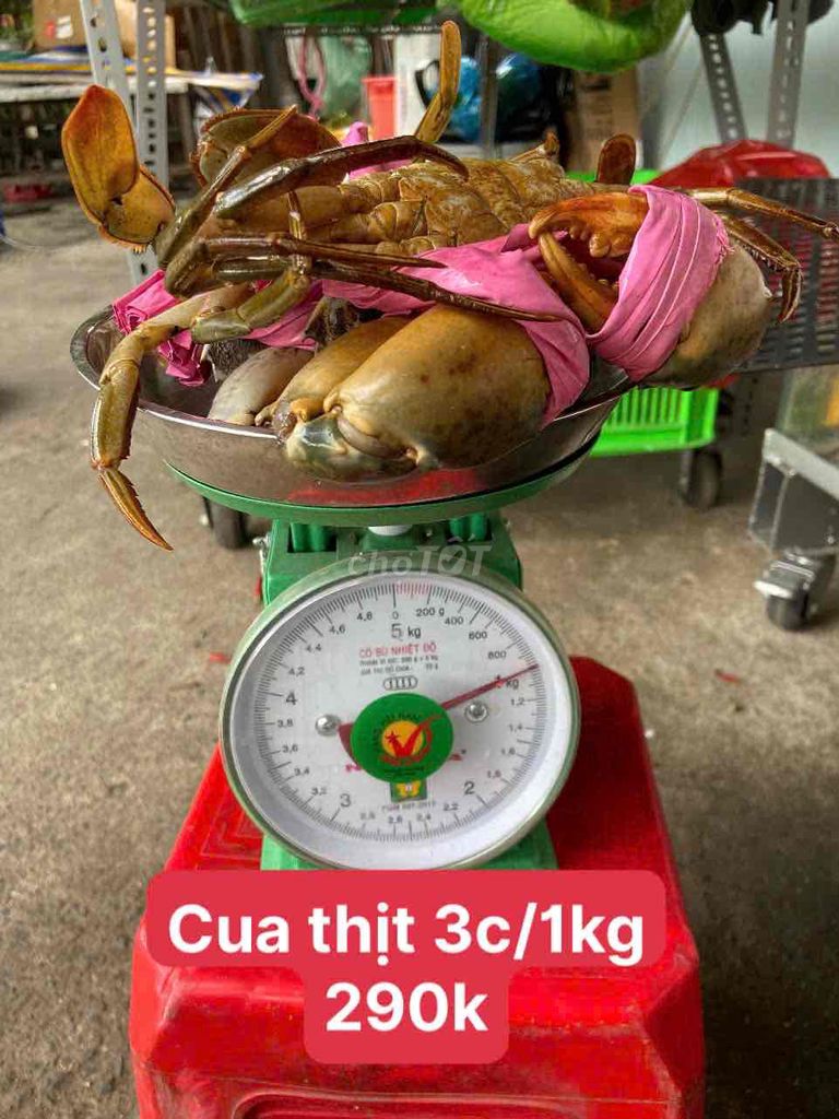 CUA CÀ MAU. Mua bán Đồ ăn, thực phẩm và các loại khác tại Quận 7 Tp Hồ Chí Minh được đăng bởi Trung hình 3