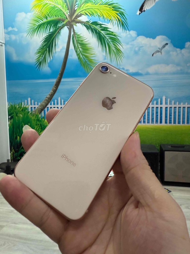 Apple iPhone 8 64GB Vàng hồng 100% pin. Mua bán Điện thoại tại Thành phố Biên Hòa Đồng Nai được đăng bởi Manh Hung Store hình 1
