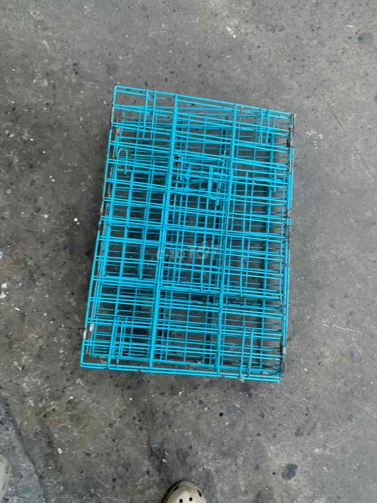 Chuồng nuôi thú 40x60 Gấp gọn Xanh. Mua bán Phụ kiện, Thức ăn, Dịch vụ tại Quận Hoàng Mai Hà Nội được đăng bởi Sen hình 1
