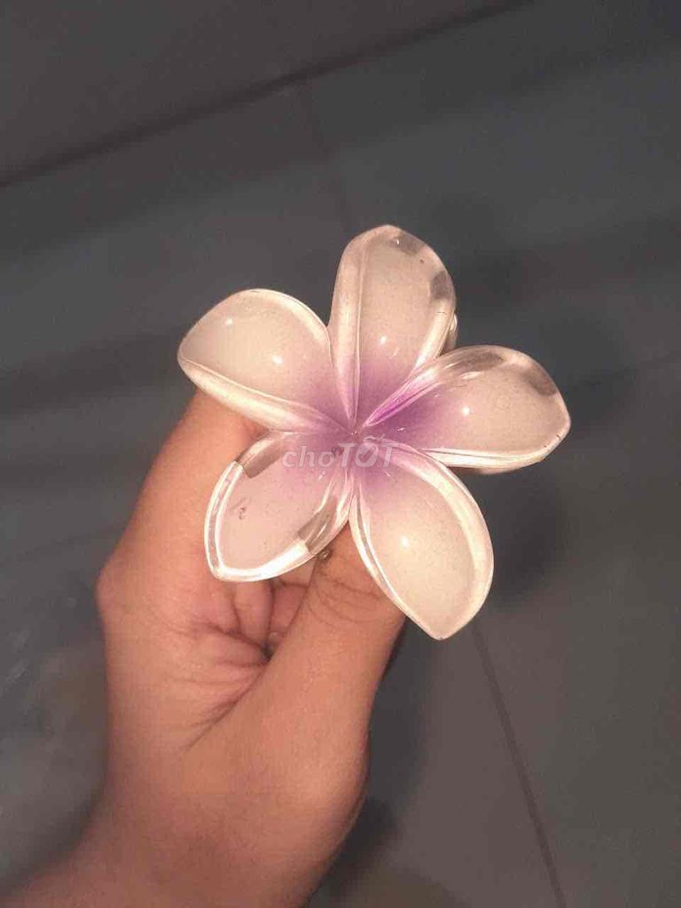 Kẹp tóc Nữ Nhựa Vải Hồng Trắng. Mua bán Phụ kiện thời trang khác tại Huyện Chợ Mới An Giang được đăng bởi Thái Huỳnh hình 1