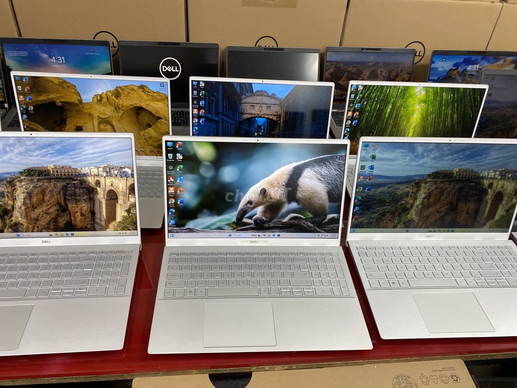 Dell corei5 thế hệ 11⭐️TẶNG usb 4TB. Mua bán Laptop tại Quận Ngũ Hành Sơn Đà Nẵng được đăng bởi LAPTOP TUẤN ĐẠT  hình 1