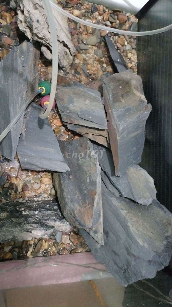 Đá trang trí bể cá Đa sắc. Mua bán Cây cảnh, đồ trang trí tại Thành phố Trà Vinh Trà Vinh được đăng bởi Tien hình 1