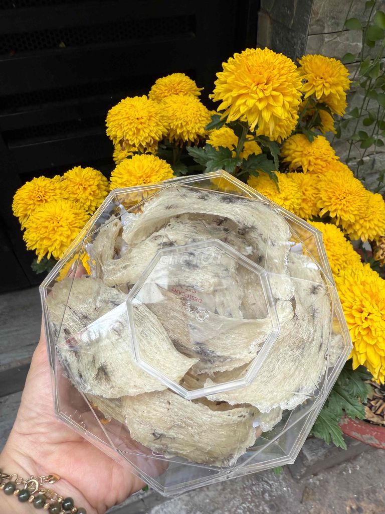 * Hộp 100g tổ yến thô nguyên chất  chưa nhặt lông.. Mua bán Đồ ăn, thực phẩm và các loại khác tại Quận 1 Tp Hồ Chí Minh được đăng bởi Hàng kho tổng hợp giá rẻ hình 1