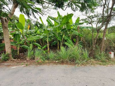 Đất 180 m² · Đường Hóc Hưu