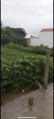 Bán đất full thổ cư 240m2 chính chủ. Mua bán đất tại Huyện Phú Hòa Phú Yên được đăng bởi VO DINH TUNG