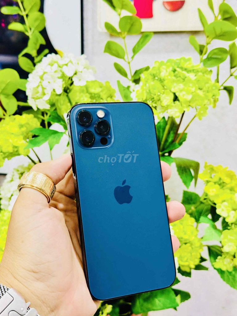 Apple iPhone 12 Pro 128GB Xanh. Mua bán Điện thoại tại Thành phố Long Xuyên An Giang được đăng bởi Trung Black  hình 1