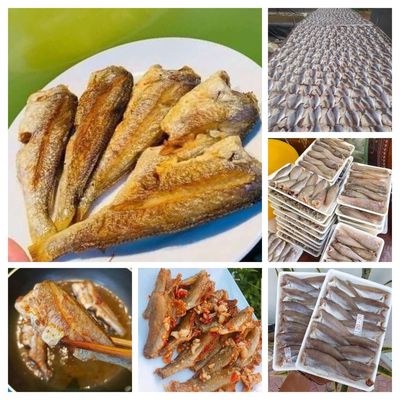 KHÔ CÁ LÙ ĐÙ 1 NẮNG.. Mua bán Đồ ăn, thực phẩm và các loại khác tại Quận 8 Tp Hồ Chí Minh được đăng bởi La Thị Minh Nguyệt